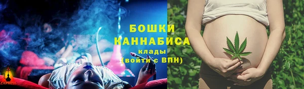 mdma Новозыбков