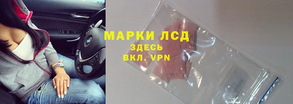 a pvp Новодвинск
