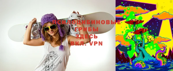 a pvp Новодвинск